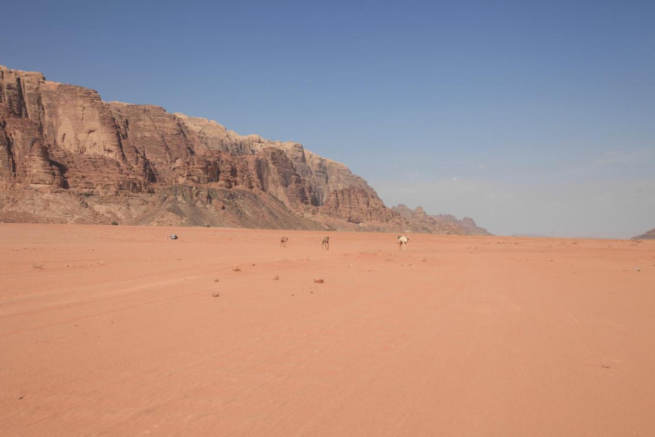 Bedouin Expedition Wadi Rum Exterior foto
